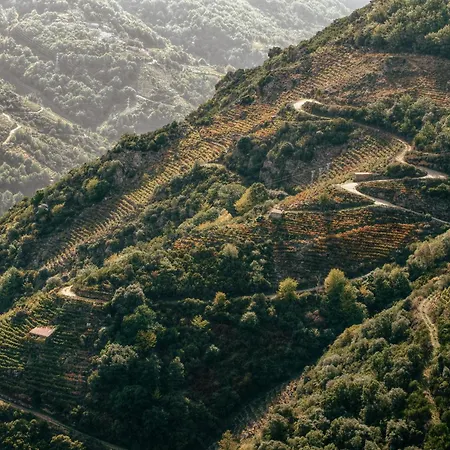 Casinas Do Sil Country house