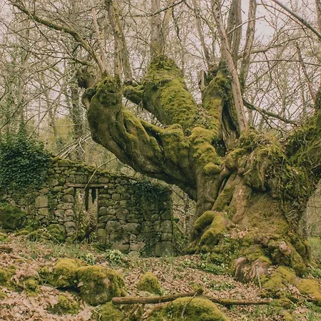 Landsted Casinas Do Sil Cristosende