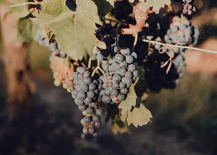 منزل ريفي Casinas Do Sil Cristosende