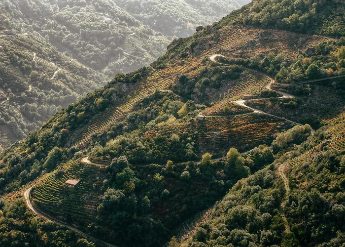 Casinas Do Sil カントリーハウス