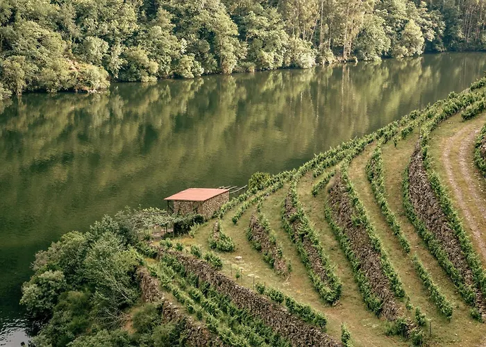 منزل ريفي Casinas Do Sil Cristosende